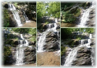 Hiking Barefoot with&nbsp;Bears